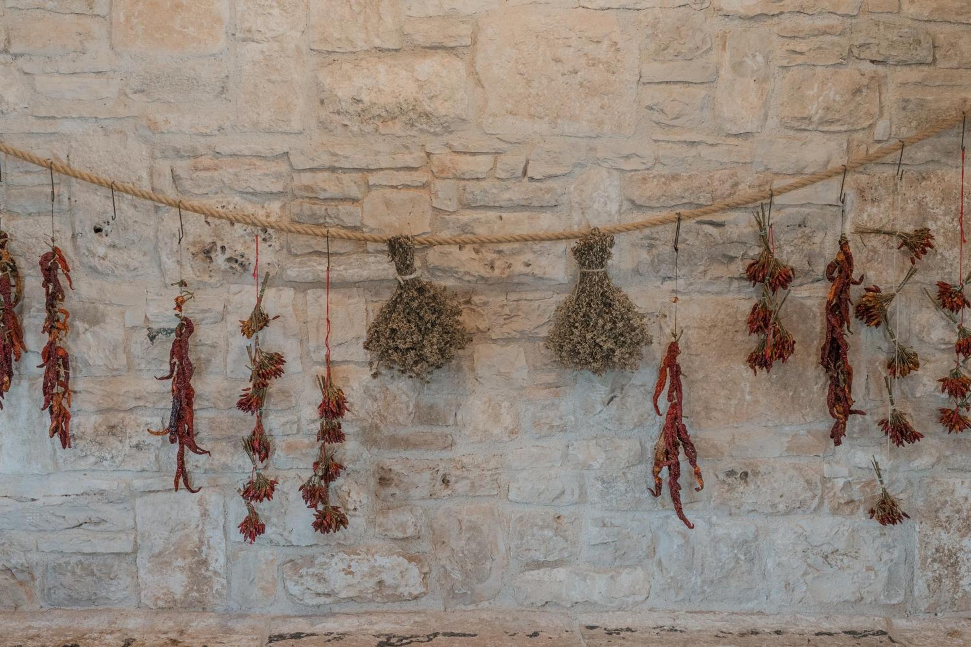 Vila Tenuta Tedone Consolini Ruvo di Puglia Exteriér fotografie