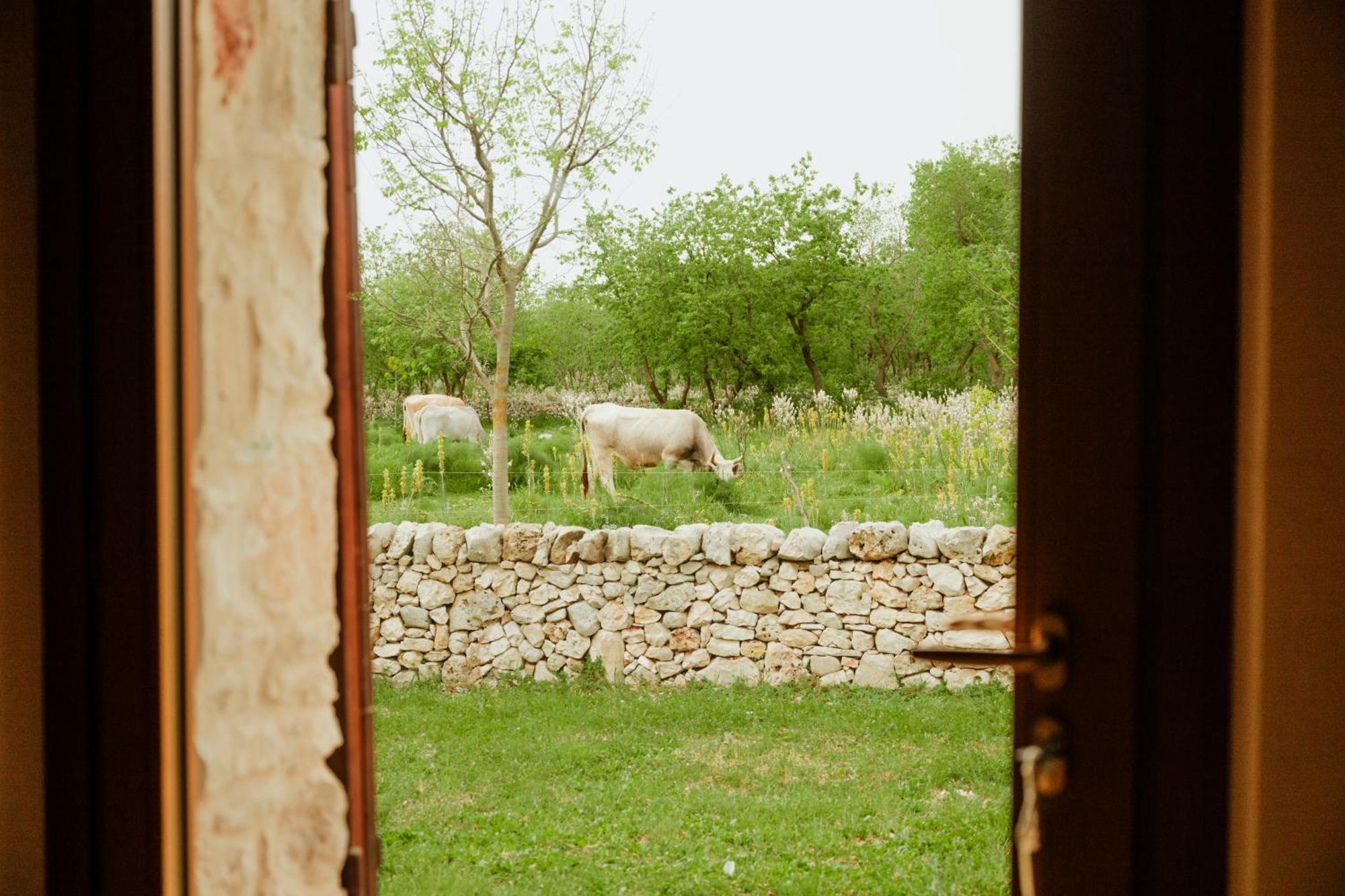 Vila Tenuta Tedone Consolini Ruvo di Puglia Exteriér fotografie