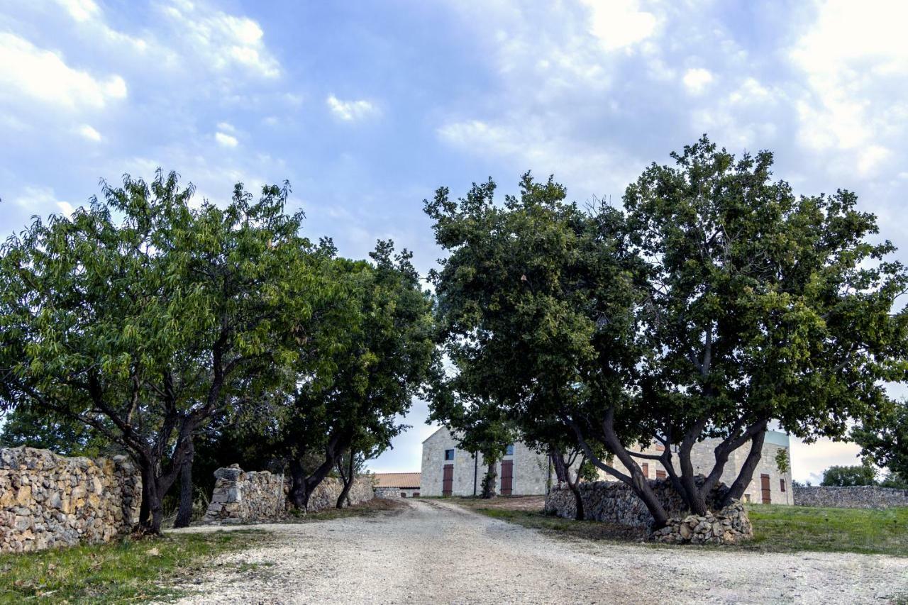 Vila Tenuta Tedone Consolini Ruvo di Puglia Exteriér fotografie