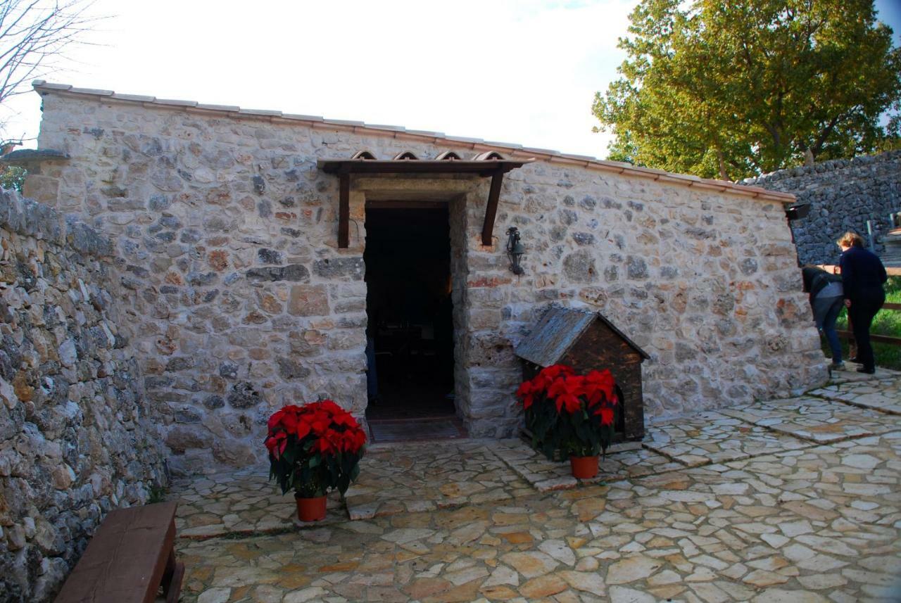 Vila Tenuta Tedone Consolini Ruvo di Puglia Exteriér fotografie