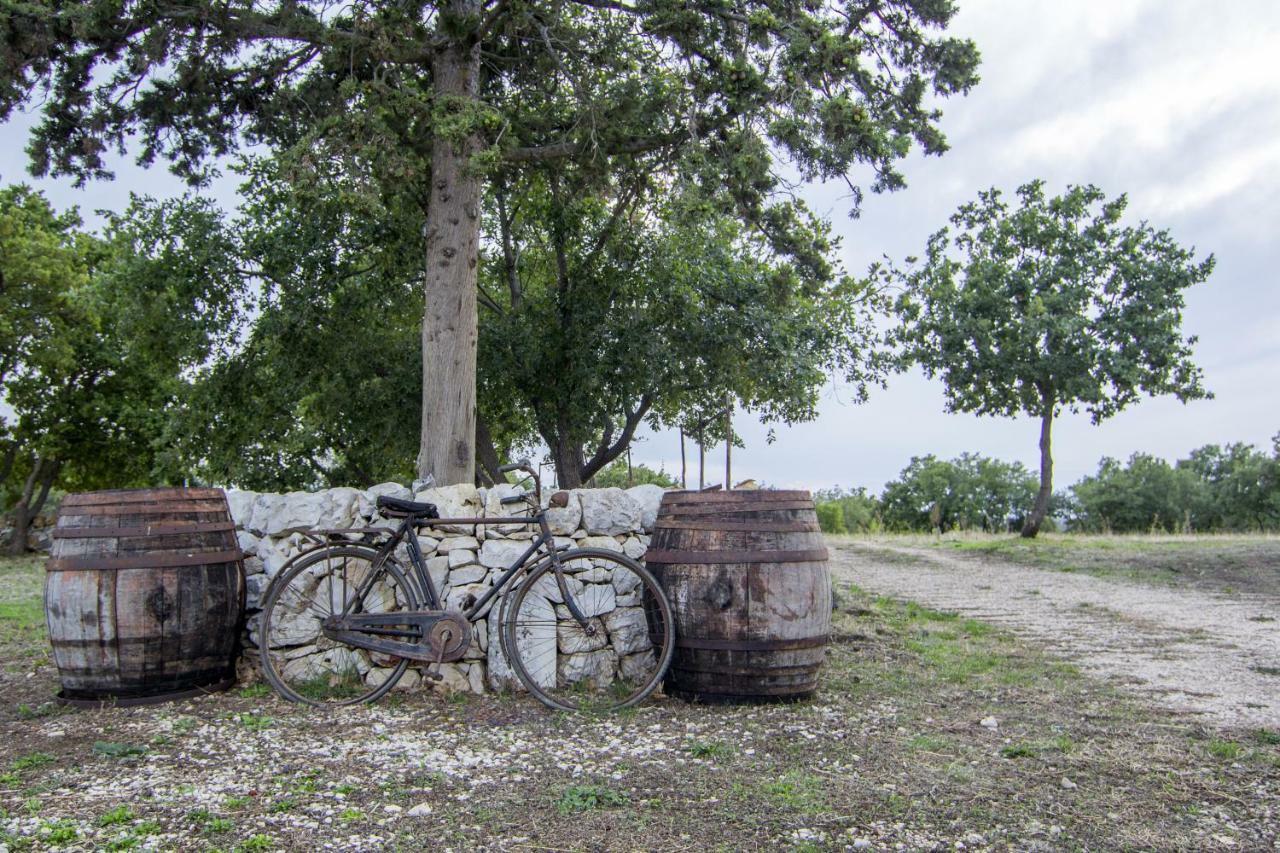 Vila Tenuta Tedone Consolini Ruvo di Puglia Exteriér fotografie