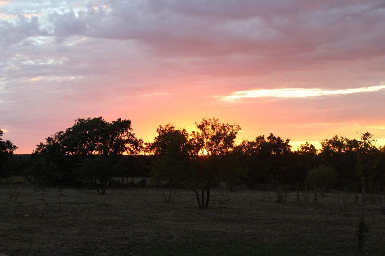 Vila Tenuta Tedone Consolini Ruvo di Puglia Exteriér fotografie