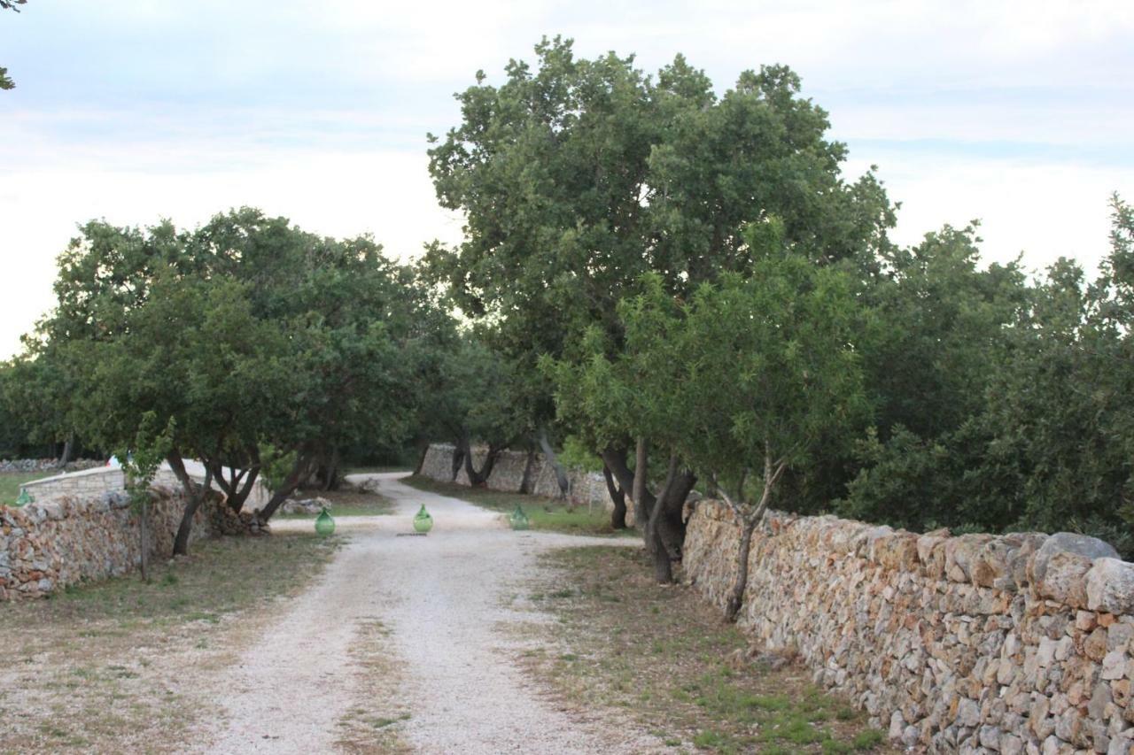 Vila Tenuta Tedone Consolini Ruvo di Puglia Exteriér fotografie