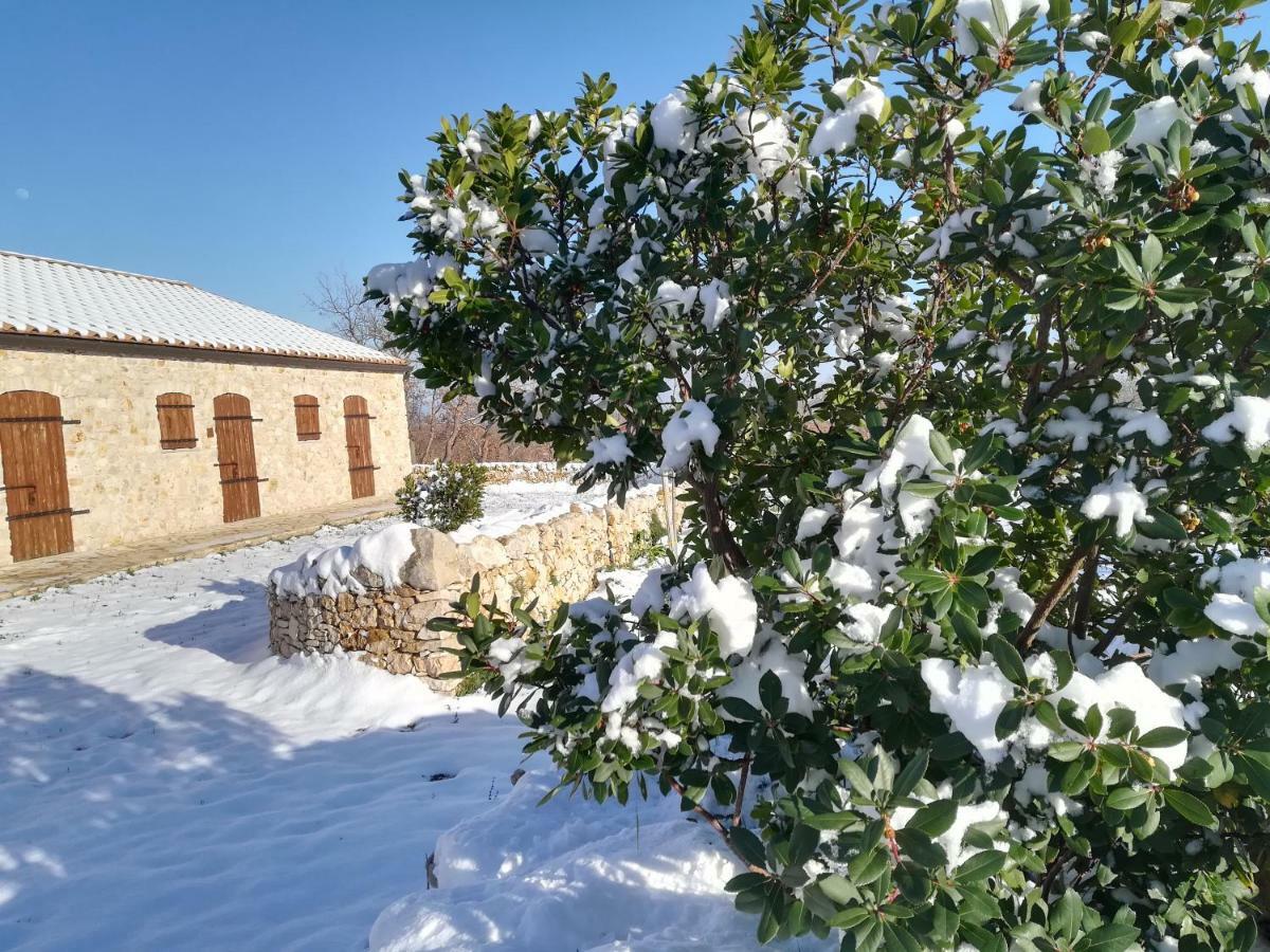Vila Tenuta Tedone Consolini Ruvo di Puglia Exteriér fotografie