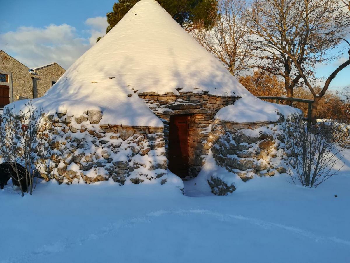 Vila Tenuta Tedone Consolini Ruvo di Puglia Exteriér fotografie